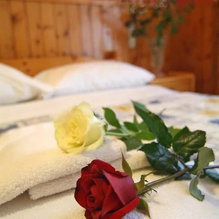 Hotel Athina Delphi