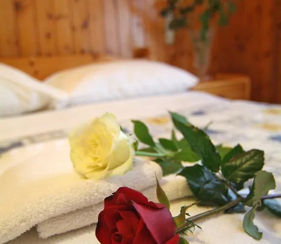 Ξενοδοχείο Athina Δελφοί